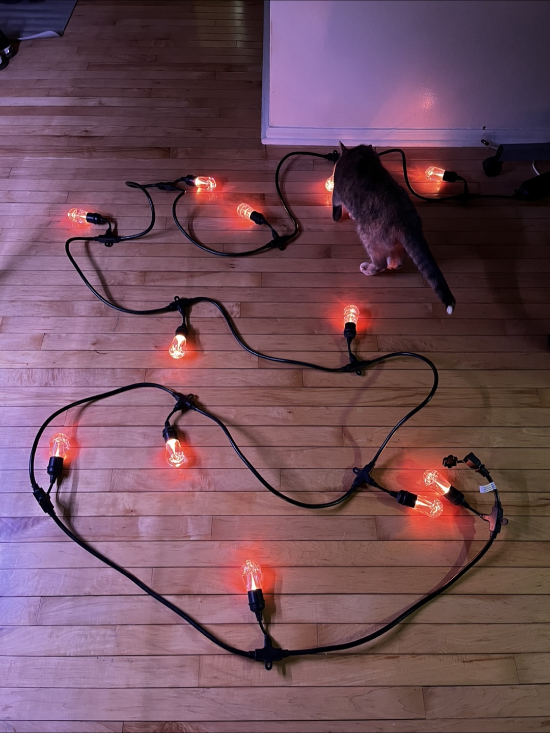 24’ multi-color outdoor lights - photo 5