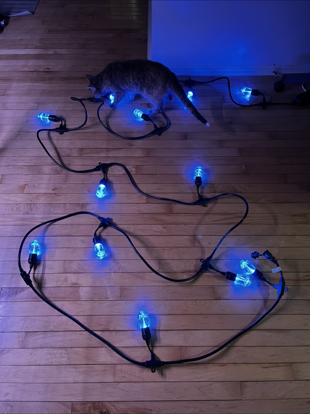 24’ multi-color outdoor lights - photo 4