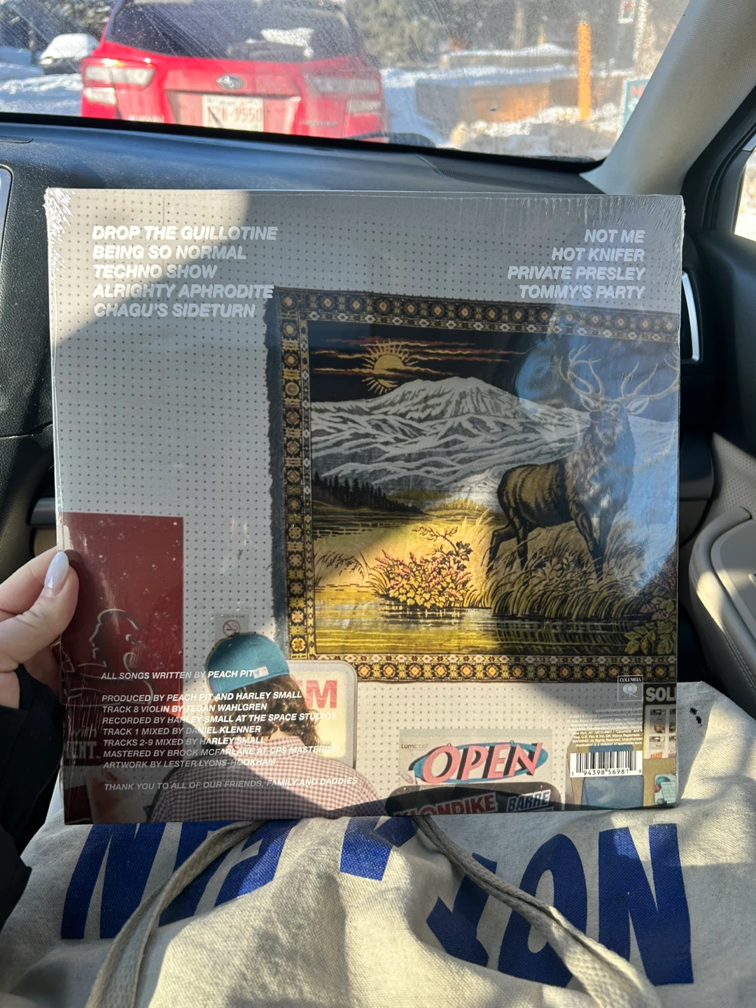 Peach Pit Being So Normal - Vinyl Record - photo 2