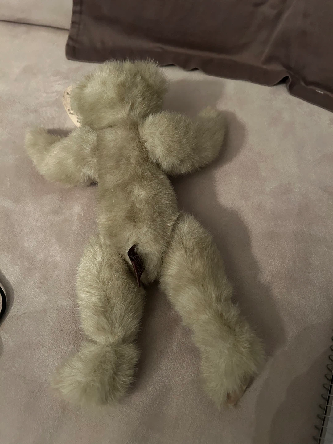 Ty Collectibles Cassie Beanie Baby Bear - photo 5