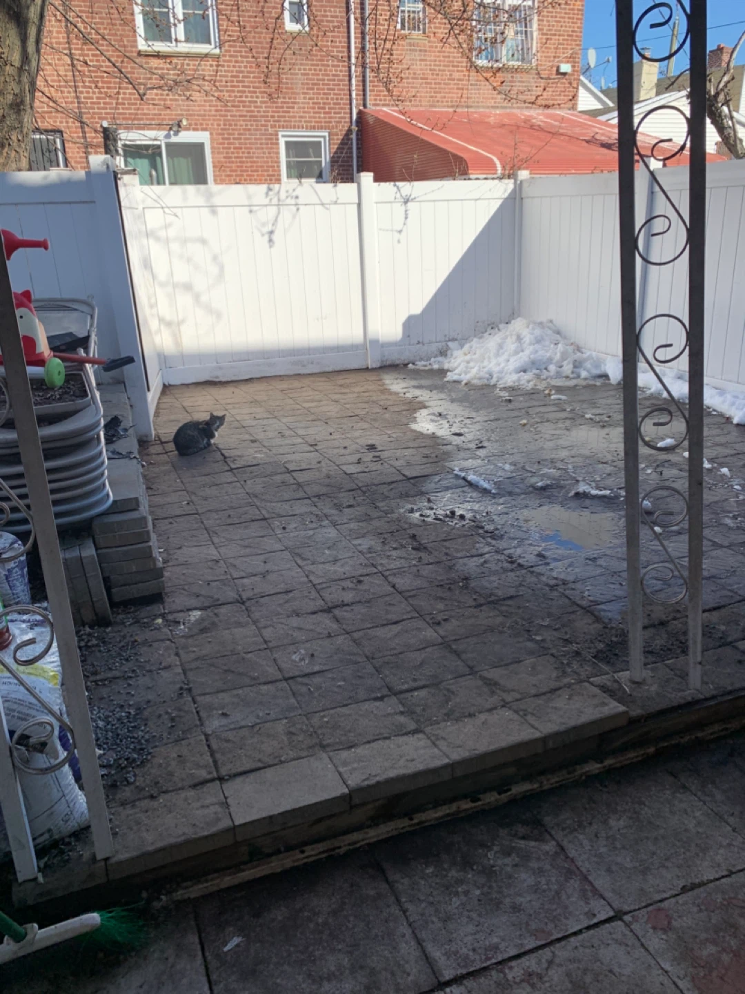 Front & backyard cleaning - photo 3
