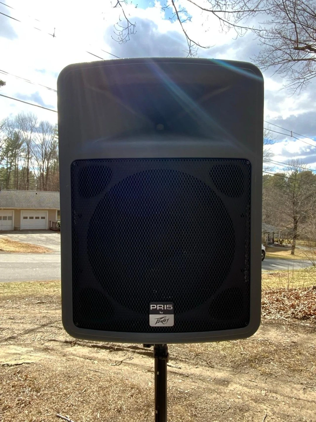 Peavey PR 15 PA Speakers (Pair)