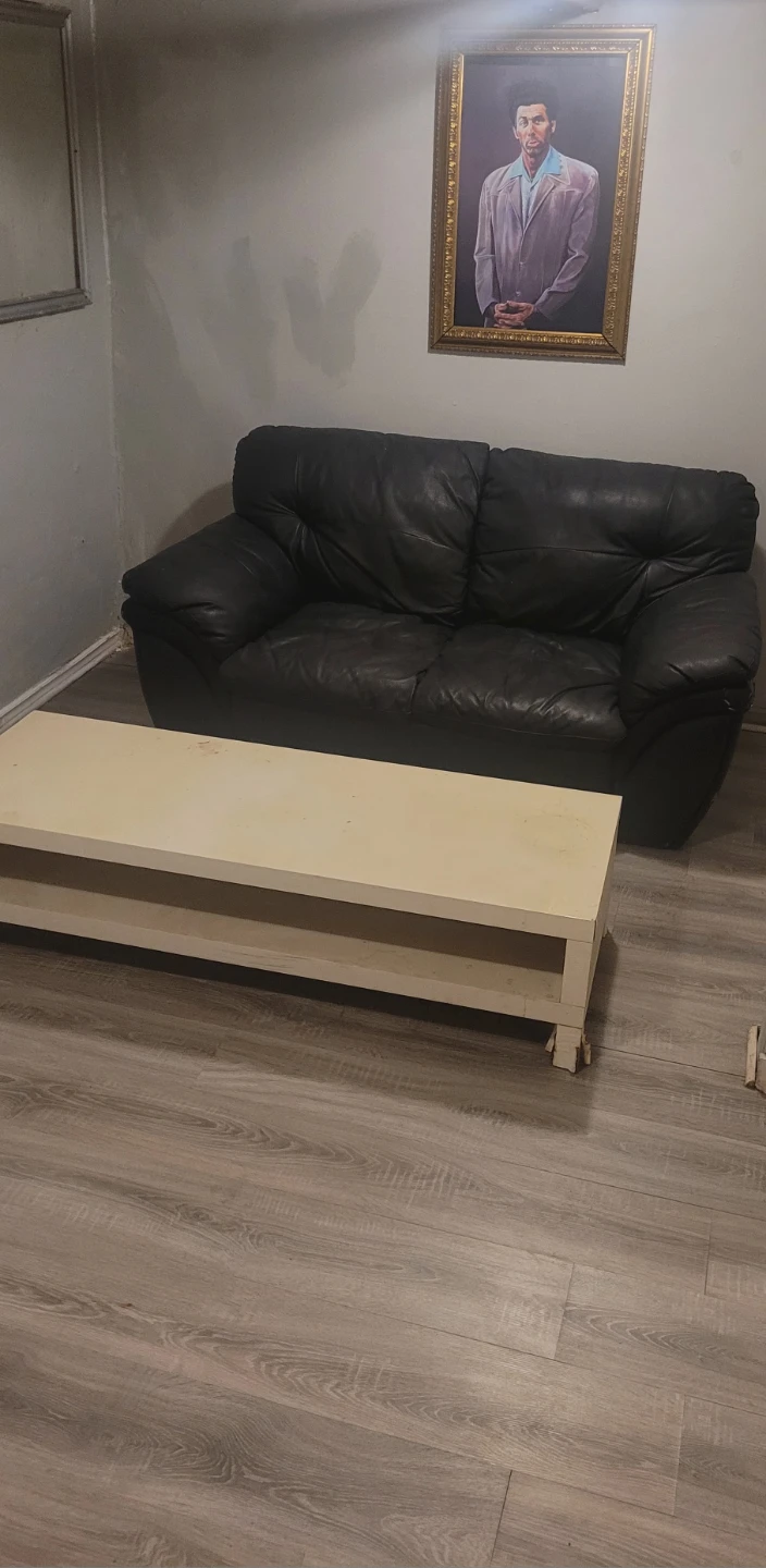 ONE BEDROOM APT FURNISHED1,300inc