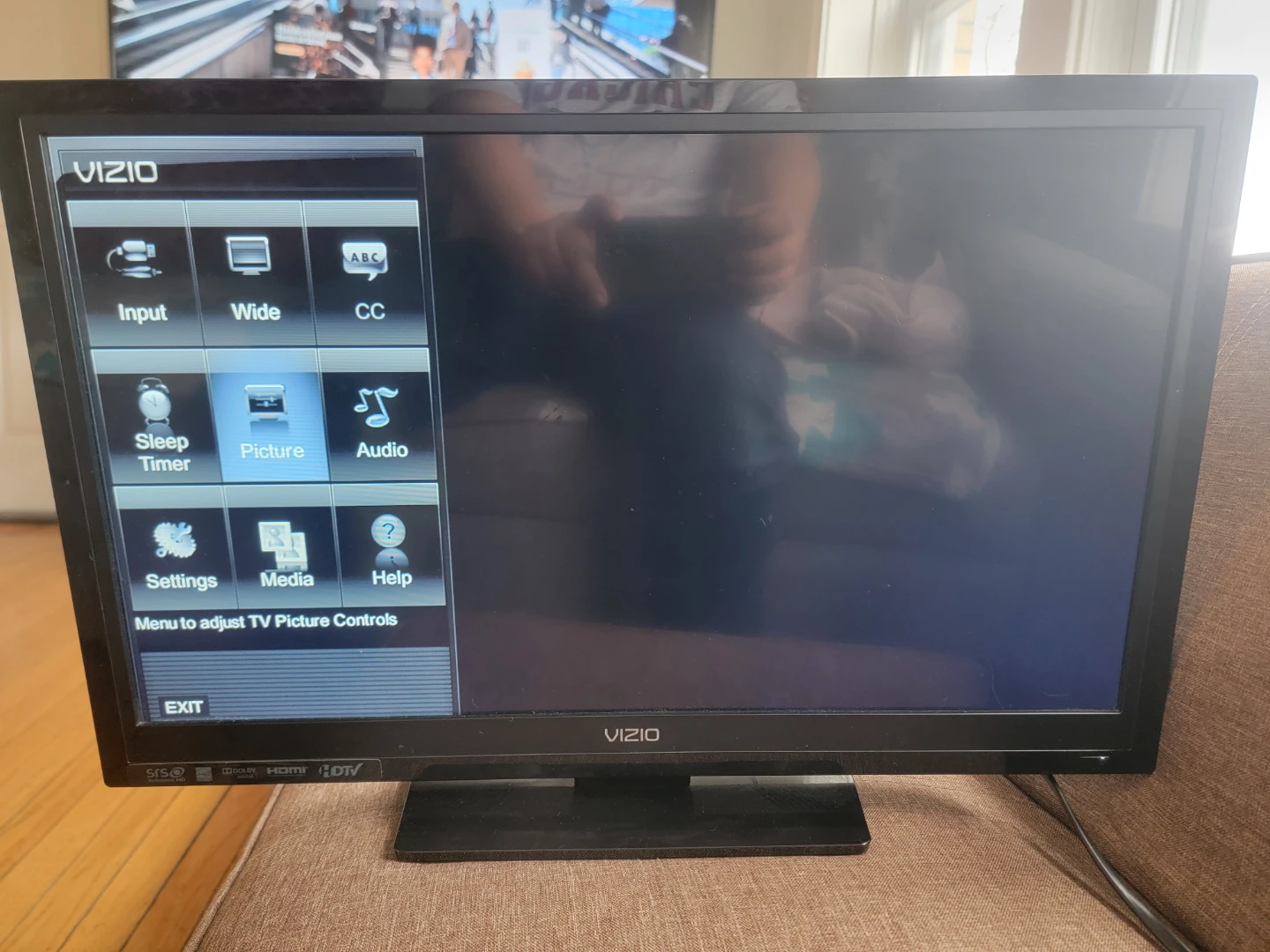VIZIO Flat Screen TV - photo 2