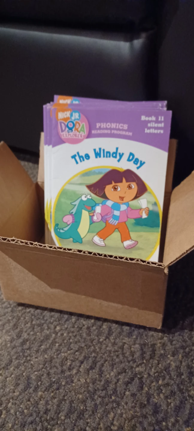 Box of Dora books