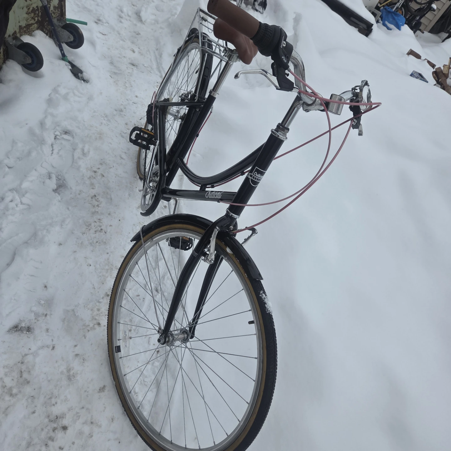 Critical Cycles Beaumont Bicycle