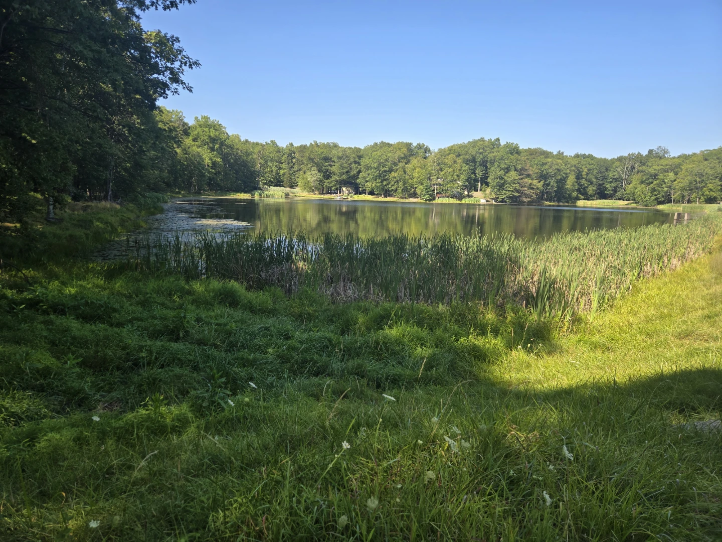 Vendo Terrenos Lotes Solares en Pennsylvania