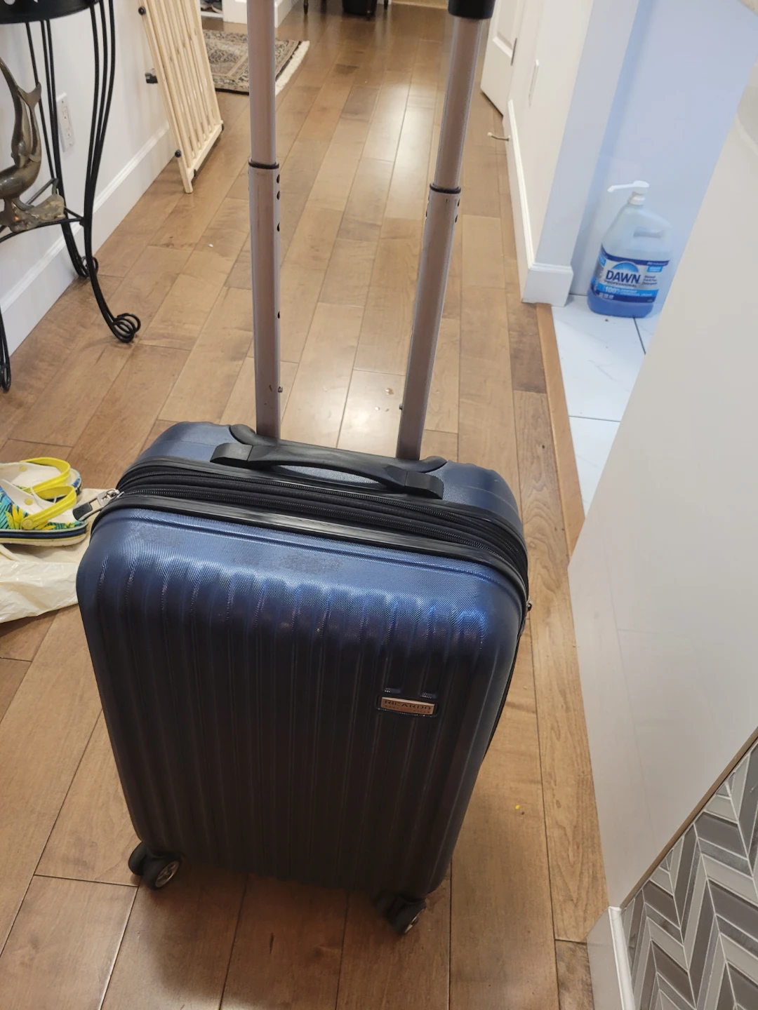 Ricardo Beverly Hills Spinner Luggage