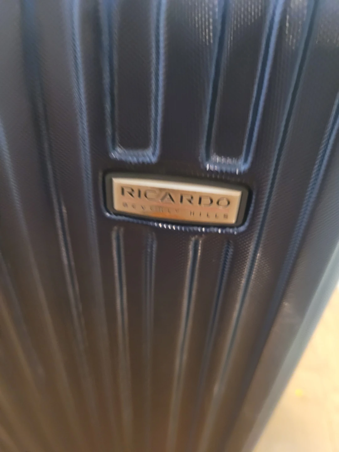 Ricardo Beverly Hills Spinner Luggage - photo 2