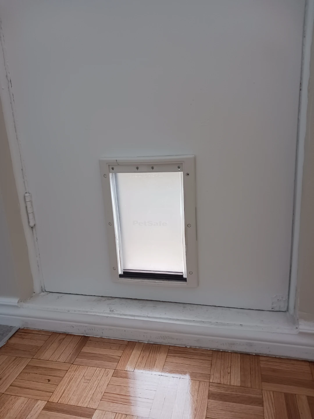 PetSafe Pet Door for Doors