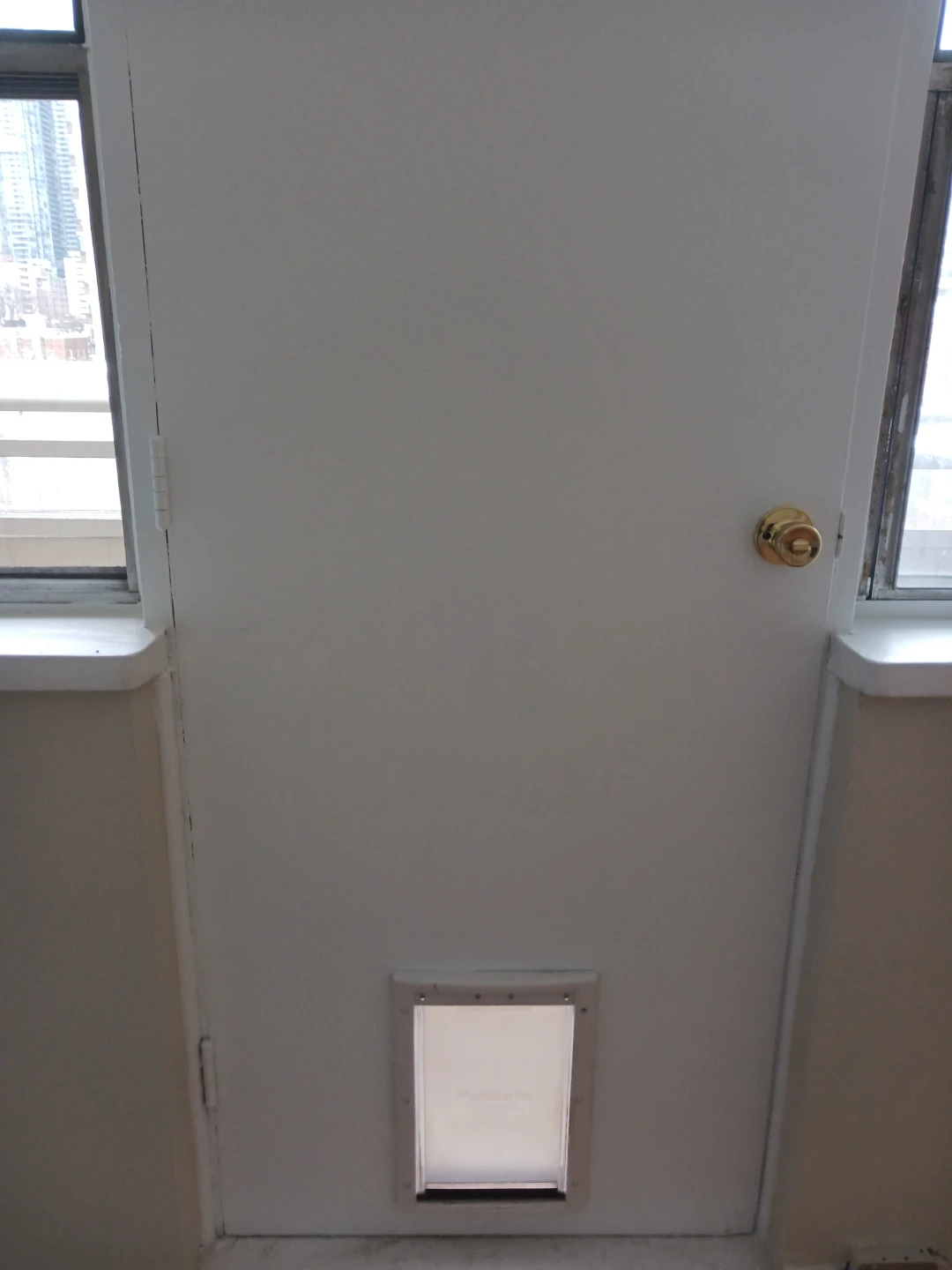 PetSafe Pet Door for Doors - photo 2
