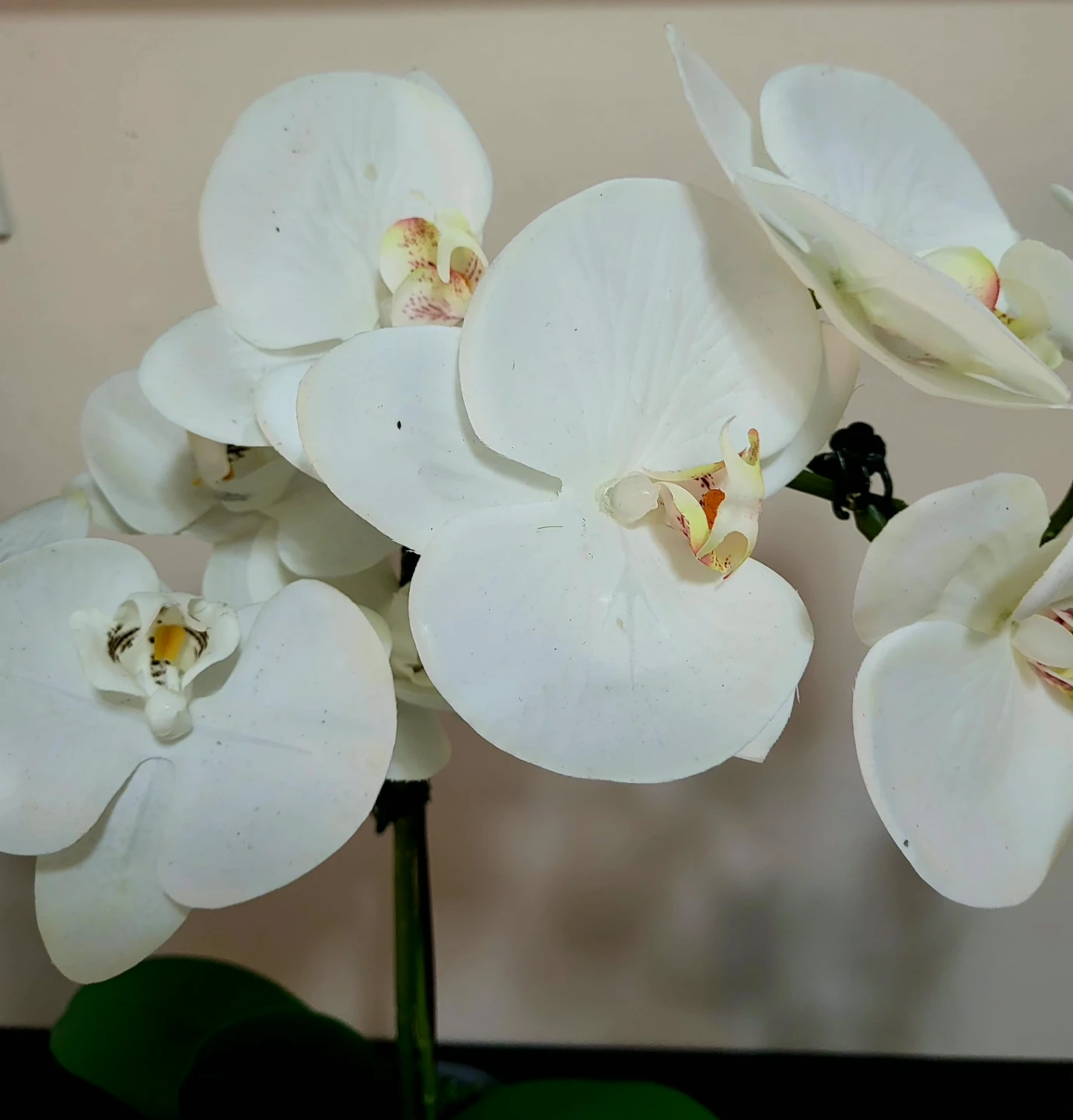 White Artificial Orchid Plant - photo 3