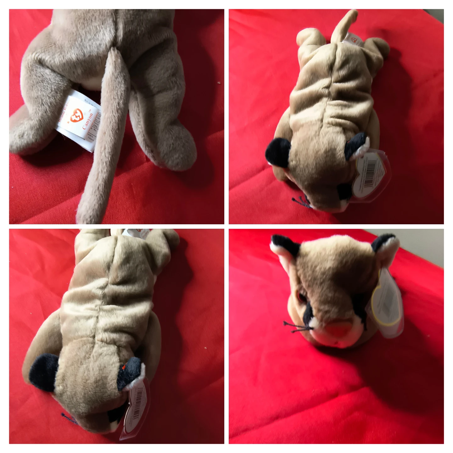 Ty Beanie Baby Canyon Cougar Plush Toy - photo 4
