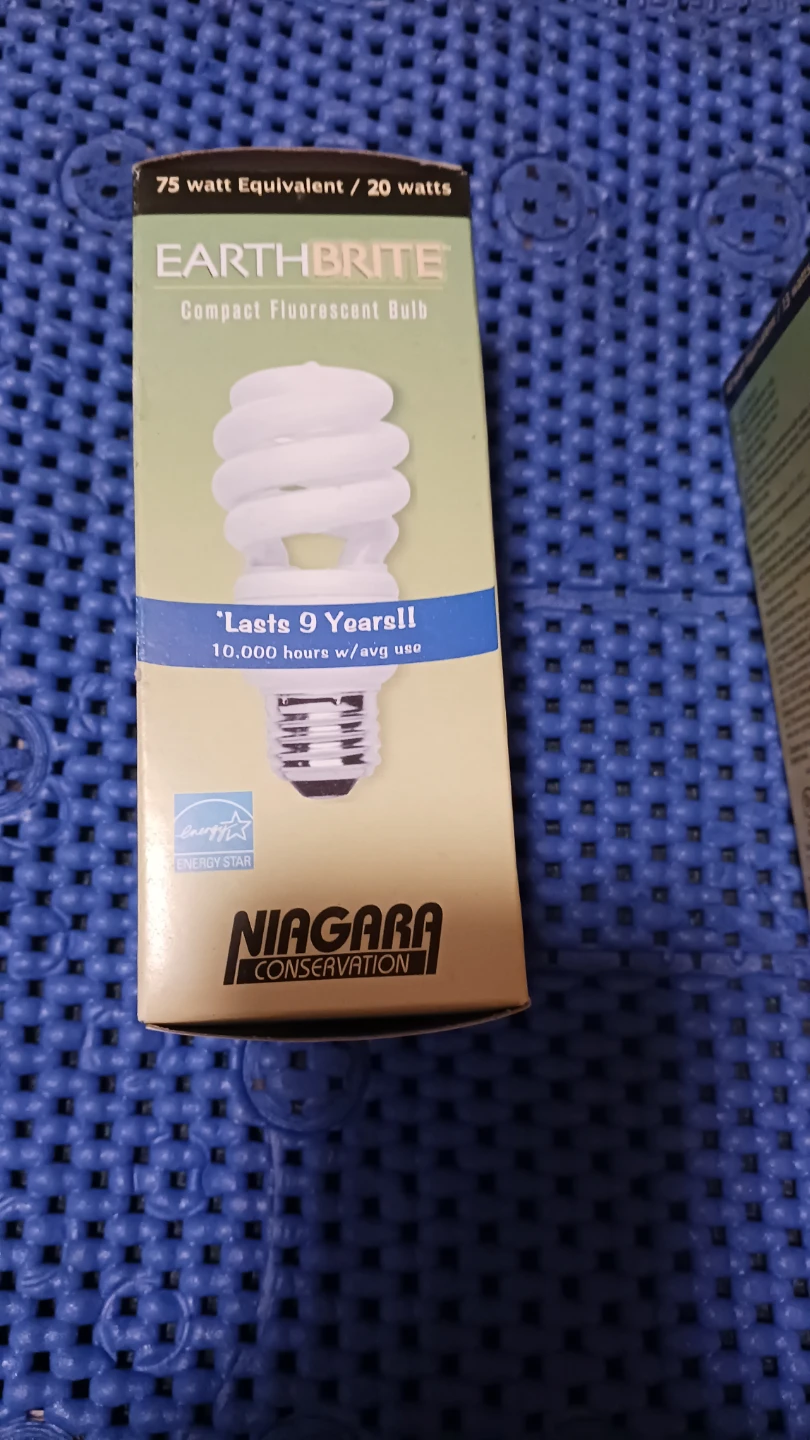 EarthBrite Compact Fluorescent Light Bulbs