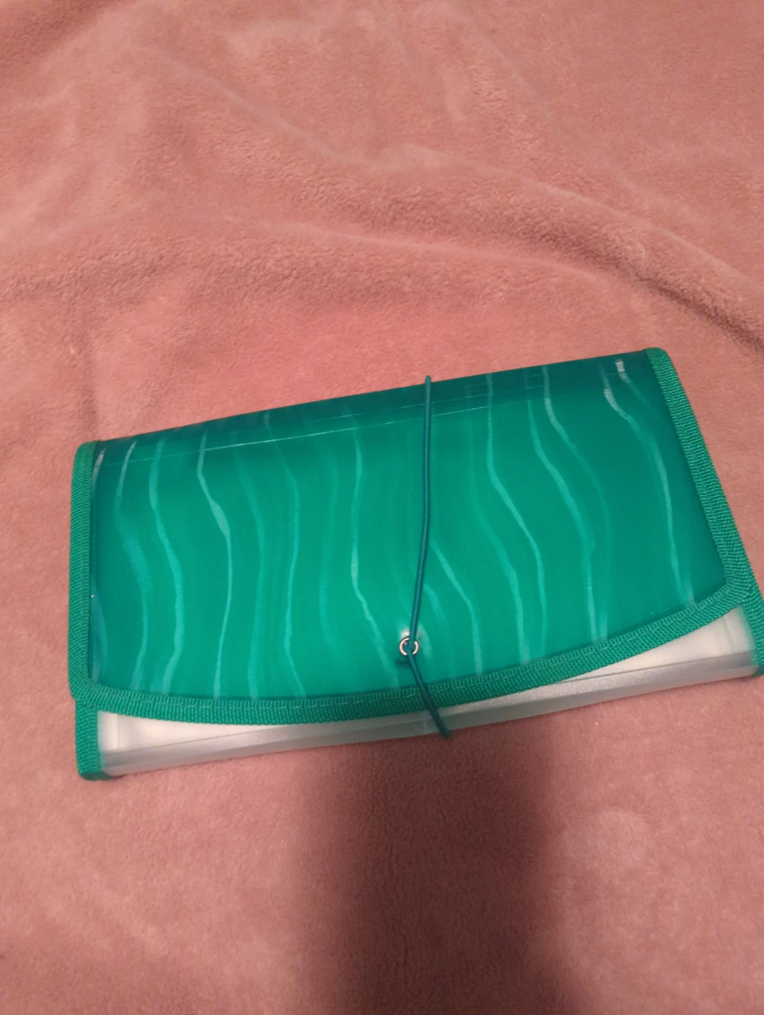 Green Expanding File Folder🥕