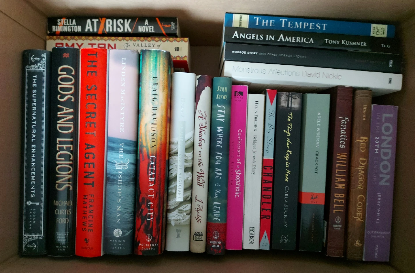Huge Set of 22 Books