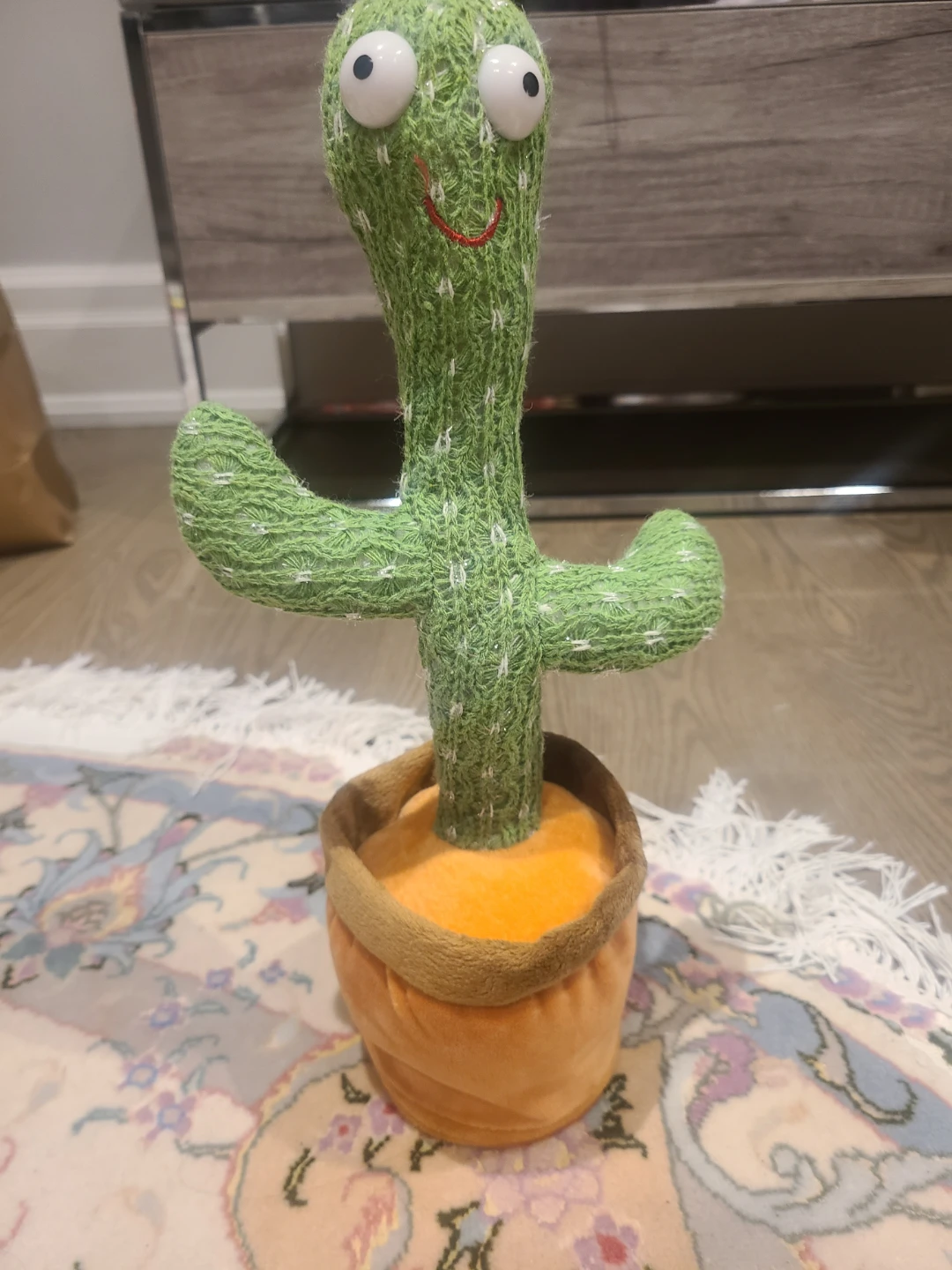 Cactus Mimick Toy