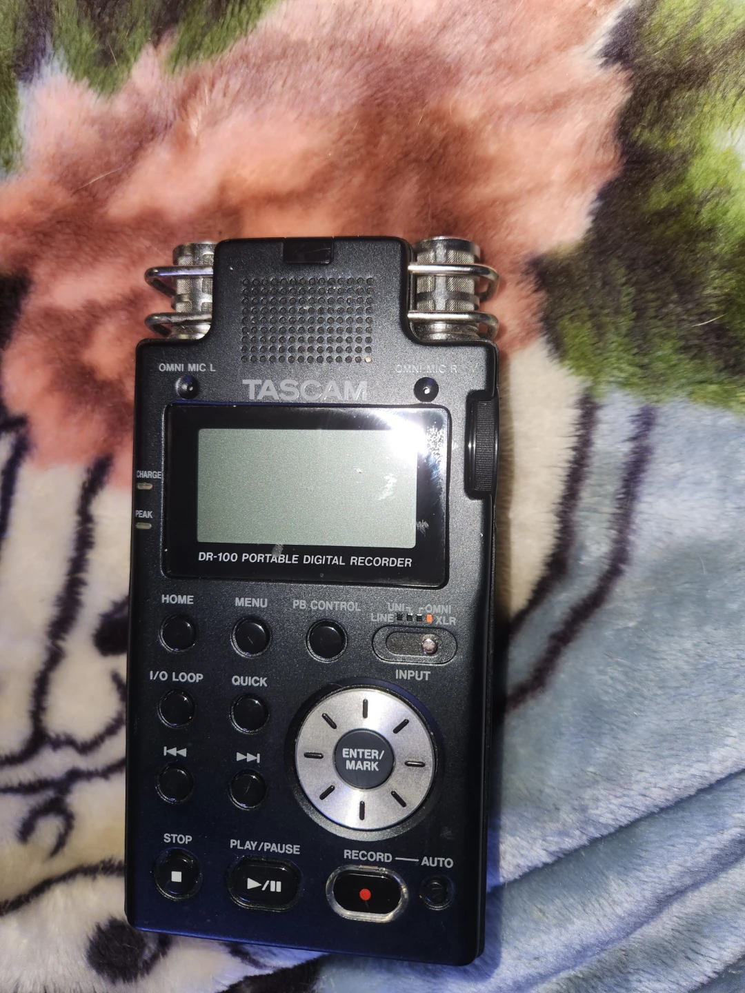 Tascam DR-100 Portable Digital Recorder