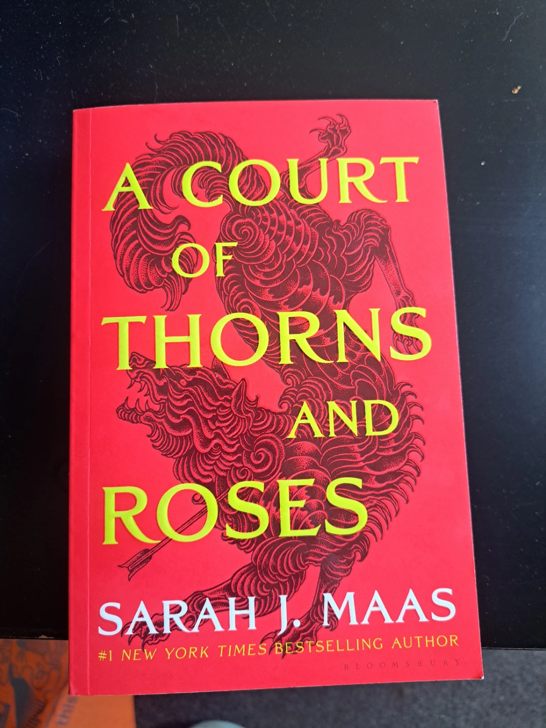 A Court of Thorns and Roses by Sarah J. Maas Paperback Book
