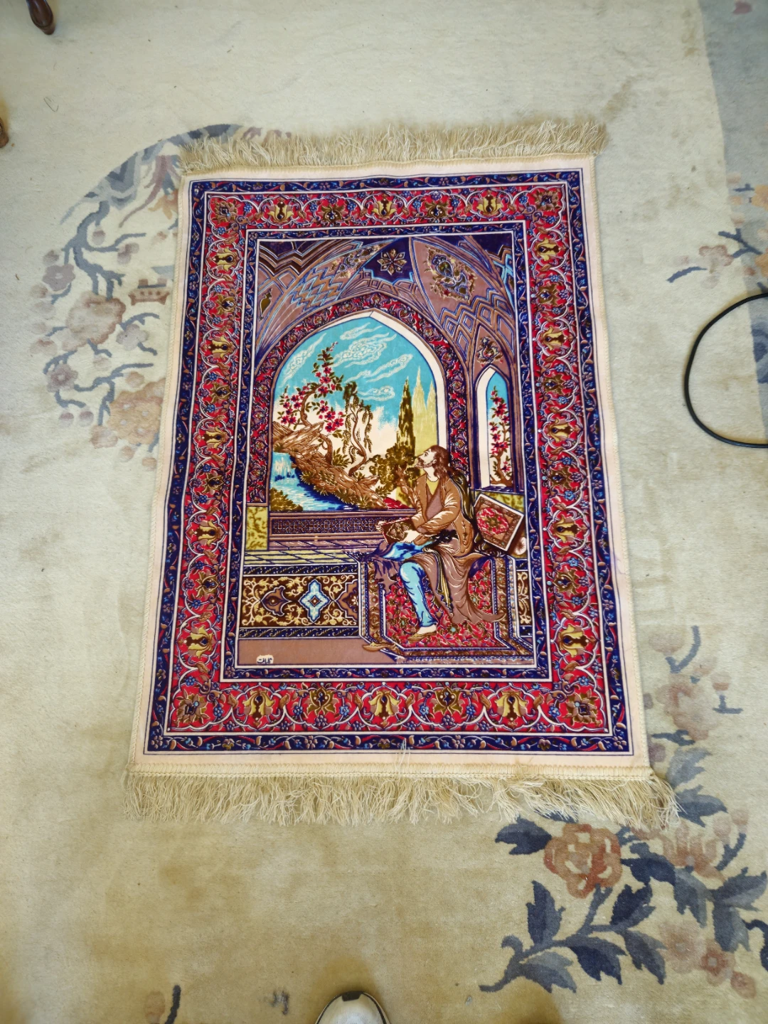 Decorative Rug with Fringed Edges