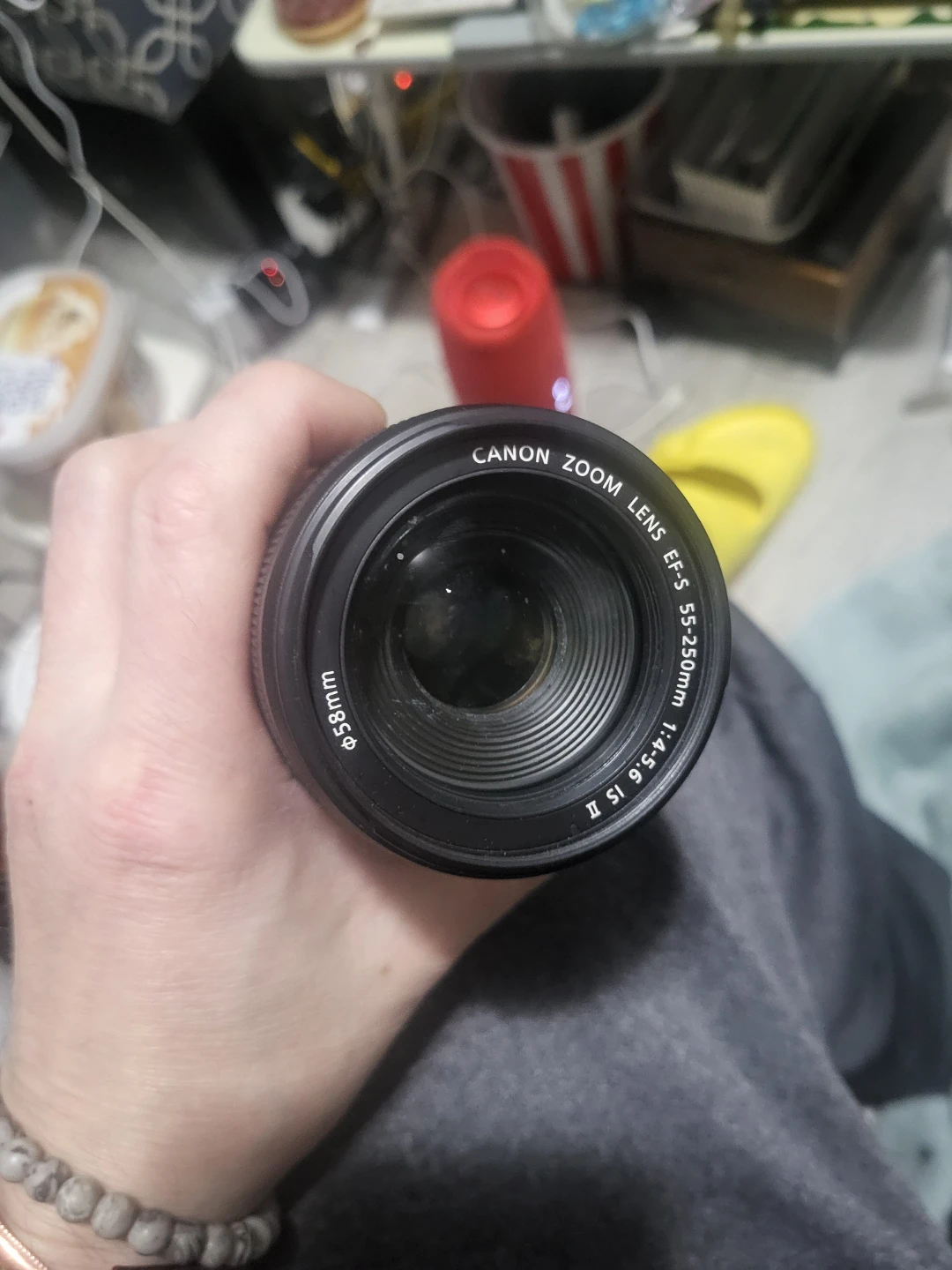 Canon EF-S 55-250mm f/4-5.6 IS II Zoom Lens - photo 4