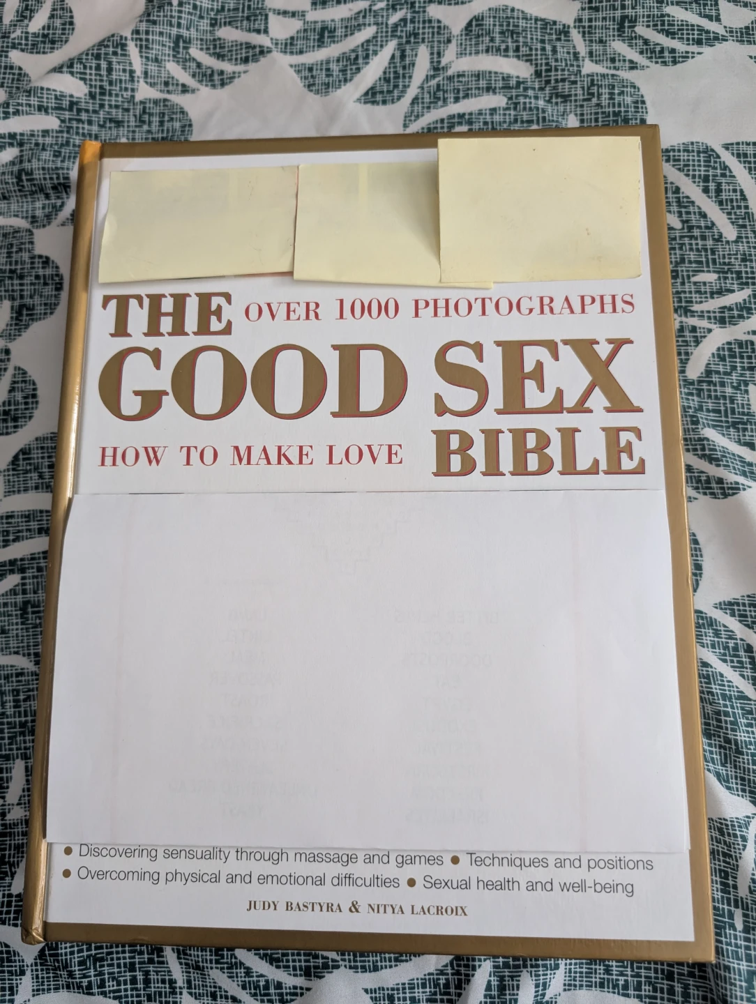 The Good Sex Bible How to Make Love Book