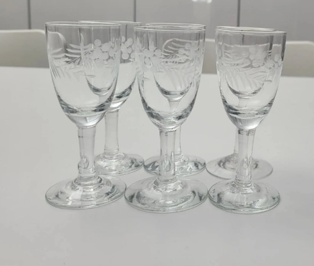 6 Etched Shot Glasses