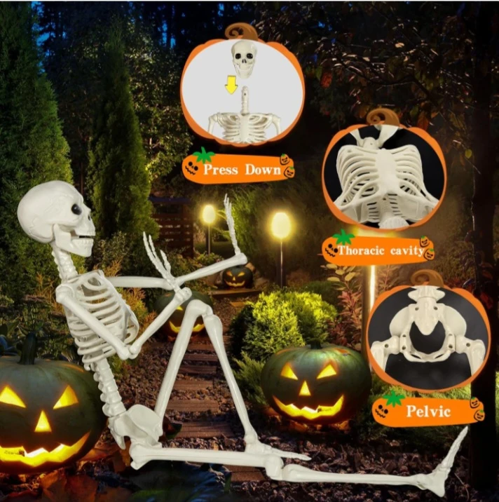 🏆 NEW!  Skeleton - Realistic Human Plastic with Movable Joints - photo 4