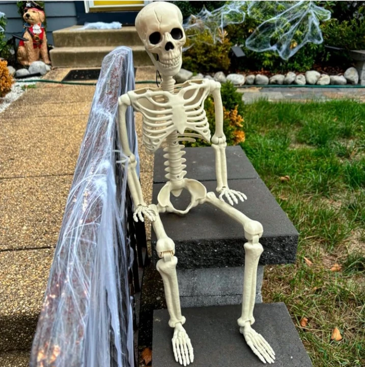 🏆 NEW!  Skeleton - Realistic Human Plastic with Movable Joints - photo 5