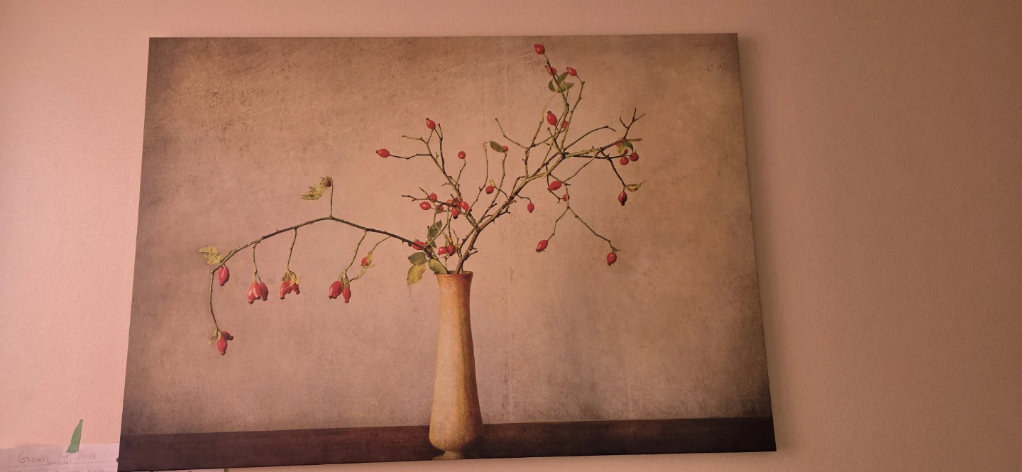 Canvas Print - Rosehip Vase Art 🏆