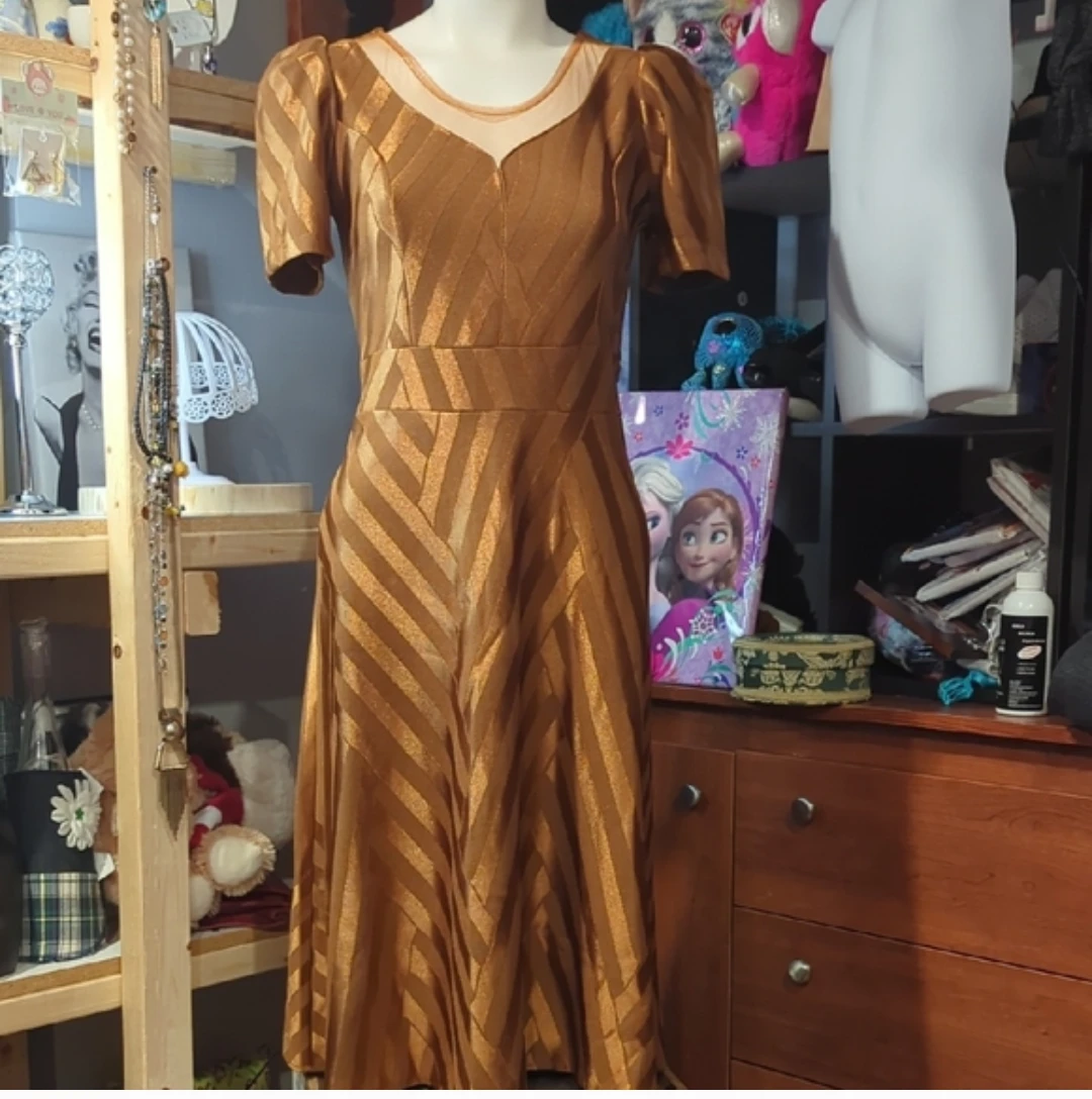 Vintage Gold Striped Mesh Neckline Dress
