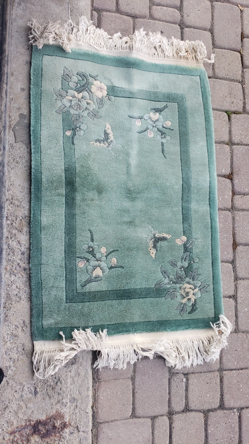 Teal Accent Rug with Floral and Butterfly Design