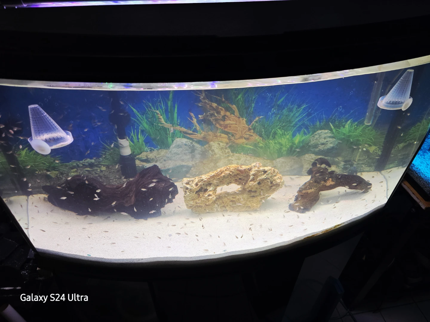 🥕 46 Gallon Bow Front Aquarium With Stand, Lid, Light, Gravel - photo 3