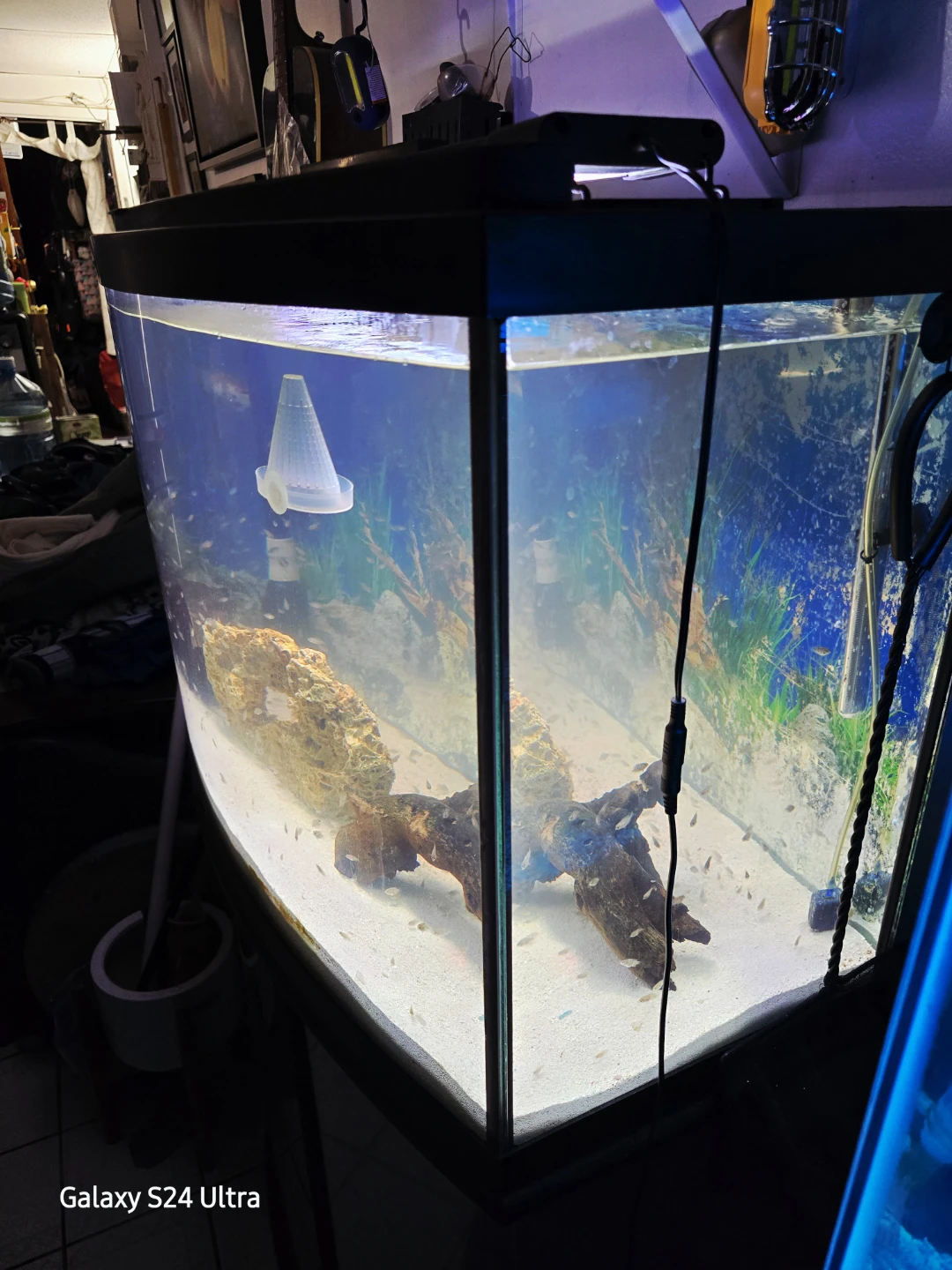 🥕 46 Gallon Bow Front Aquarium With Stand, Lid, Light, Gravel - photo 4