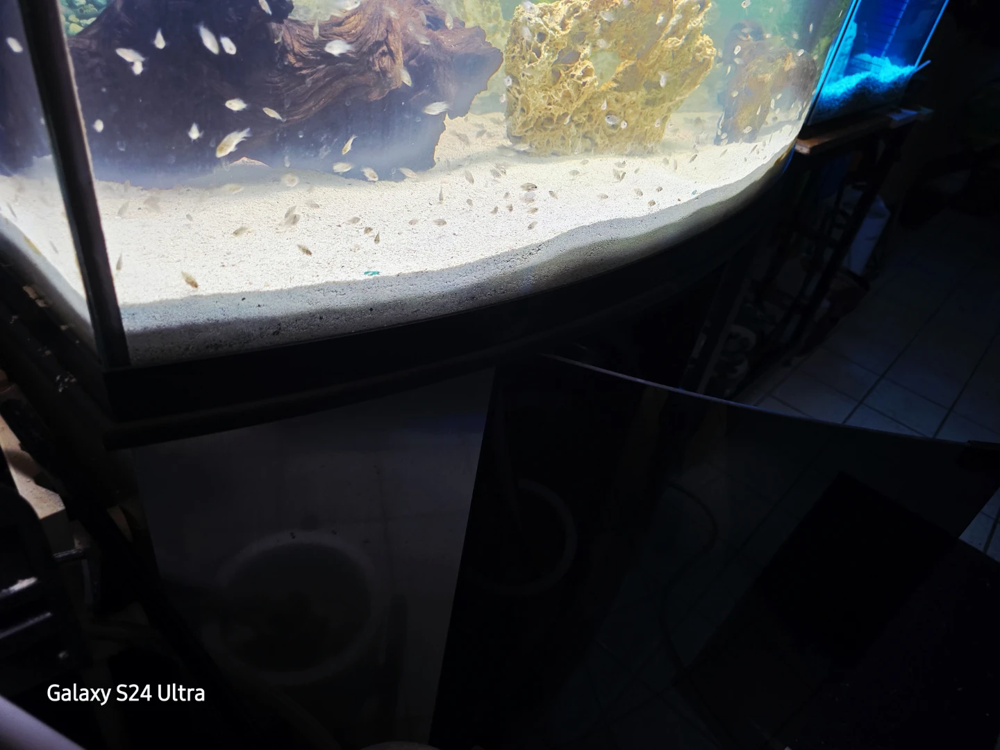 🥕 46 Gallon Bow Front Aquarium With Stand, Lid, Light, Gravel - photo 5