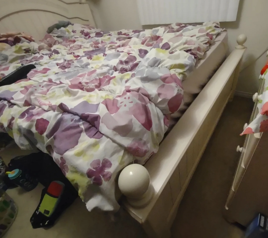 Queen Size Bed with Mattress + Box Spring NEED GONE ASAP - photo 3