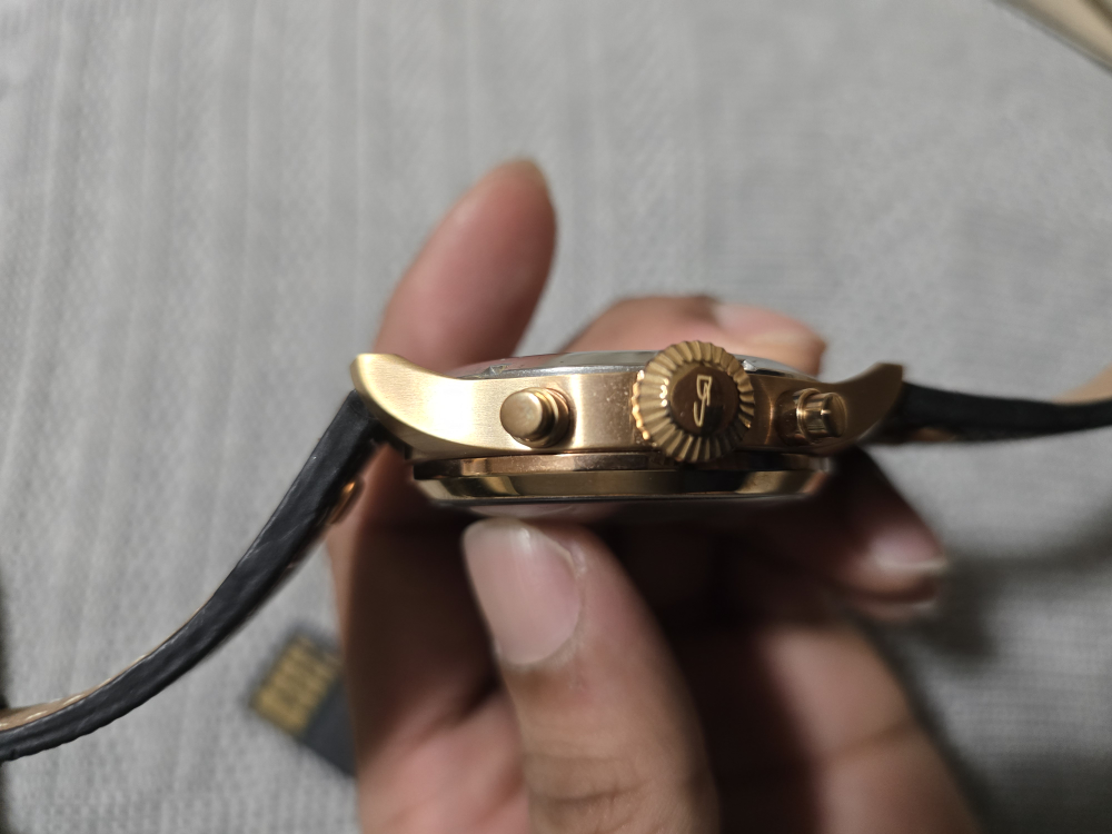 Daniel Steiger Automatic Watch - photo 4