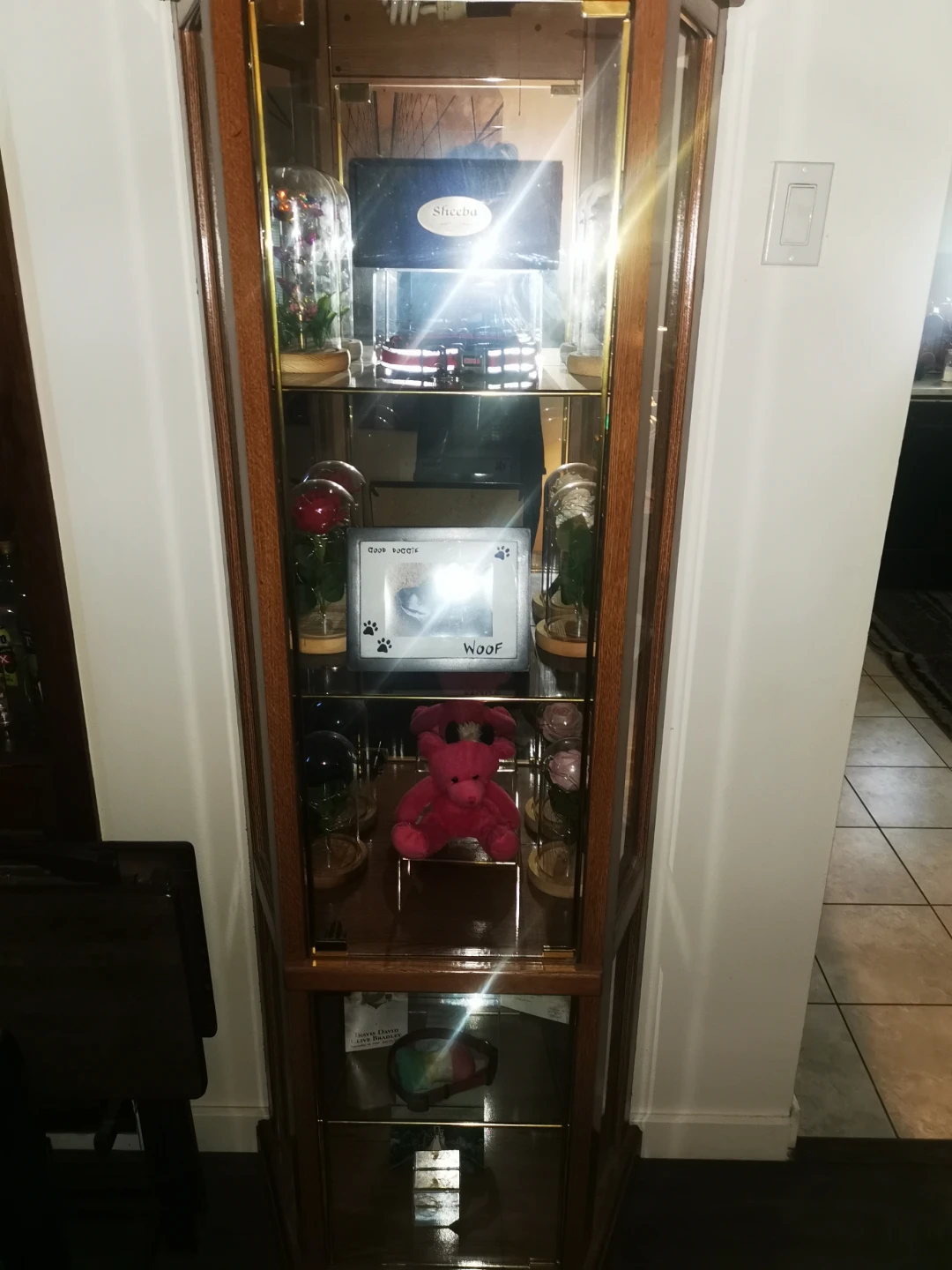 Wooden Display Cabinet with Glass Doors