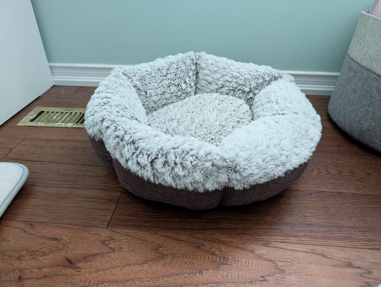 Dog Beds and Sweaters - photo 3