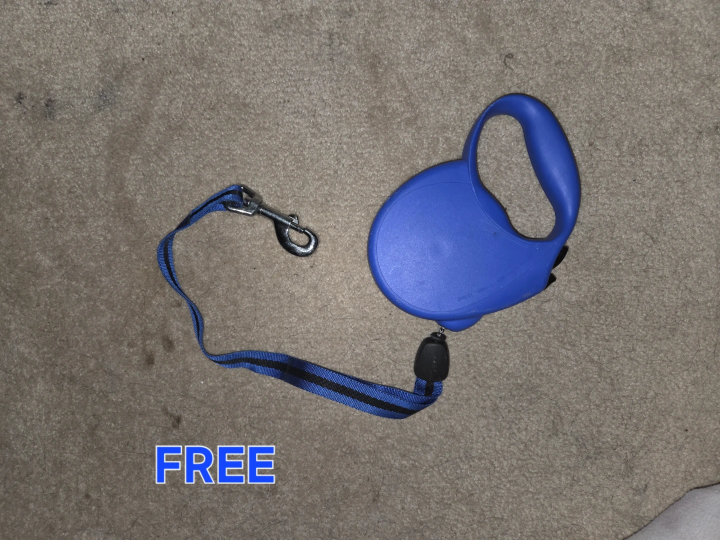 Blue Retractable Dog Leash