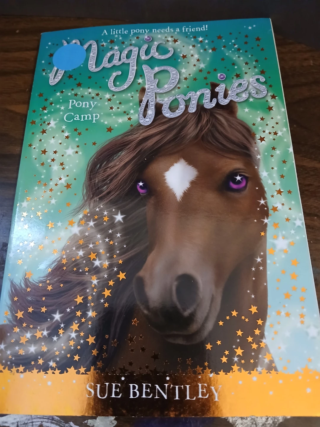 Magic Ponies: Pony Camp Book