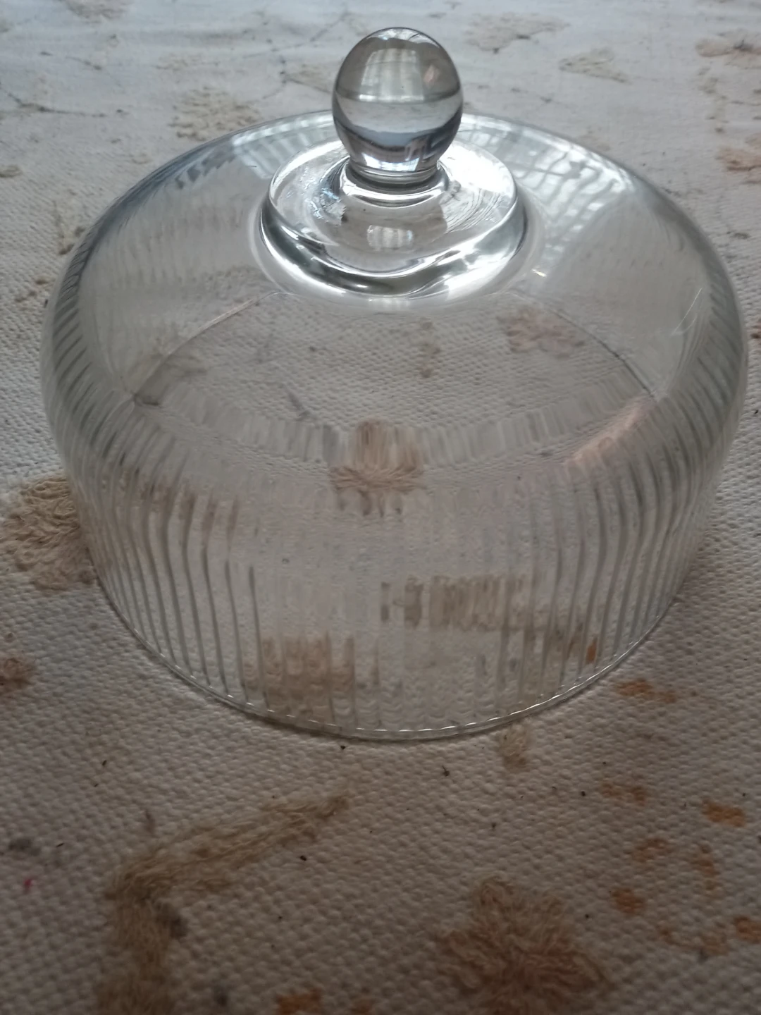 🆓🥕Glass Cake Dome Cover