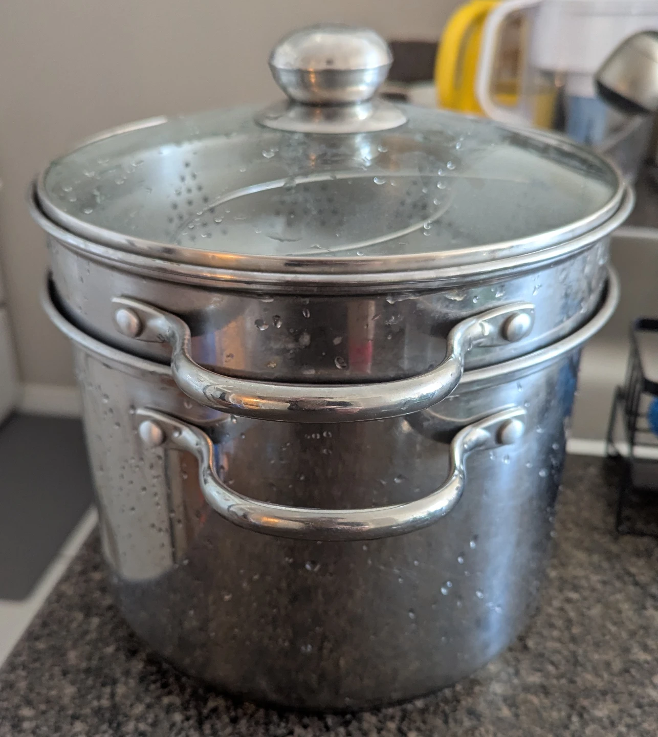 8L Stainless Steel Steamer Pot