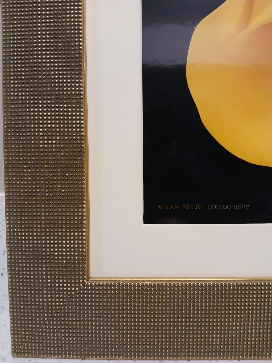 Allan Selig "Yellow Calla Lily" gold Framed Photography art - photo 2