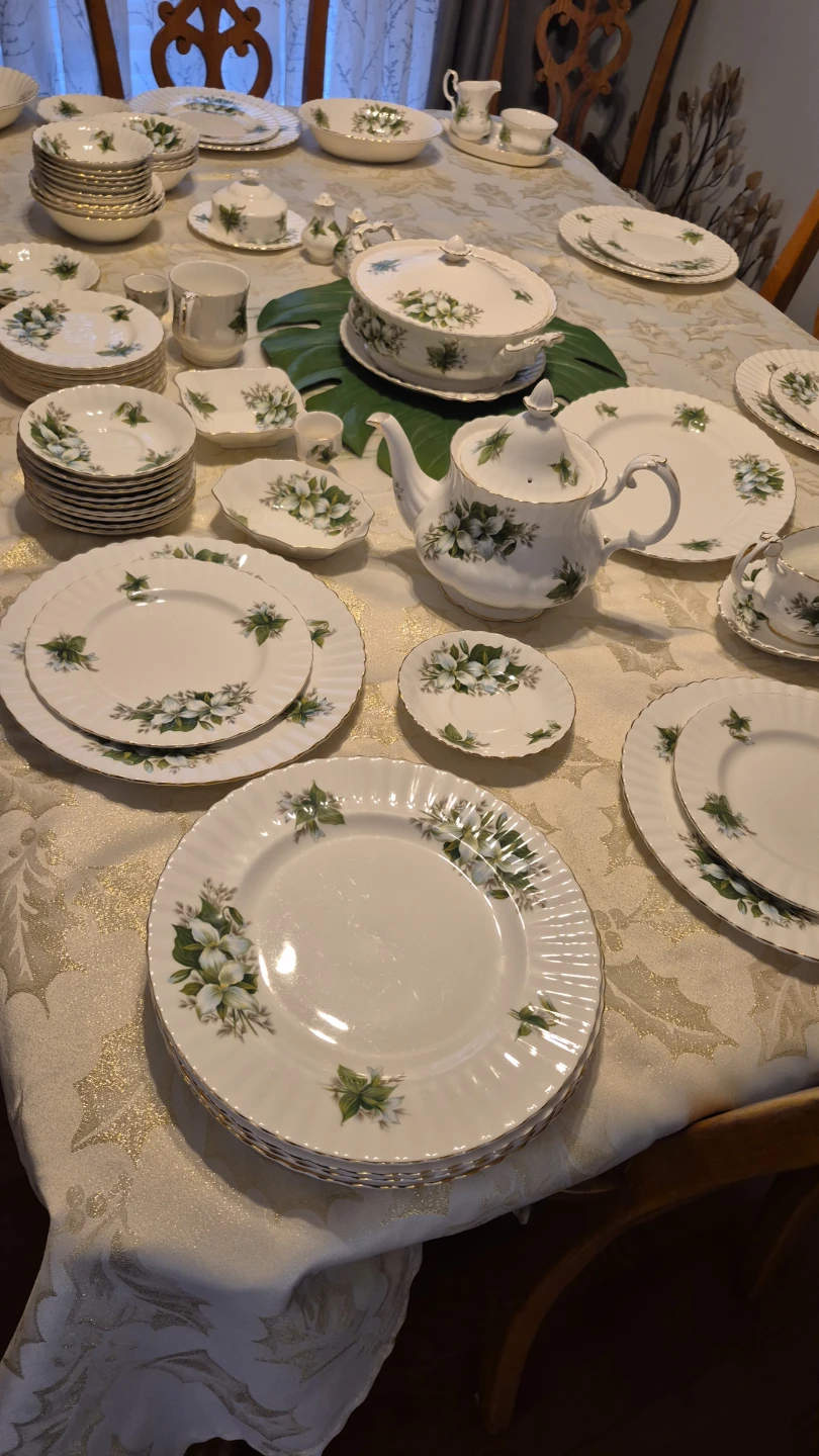 Vintage Floral Bone China Dinnerware Set royal albert