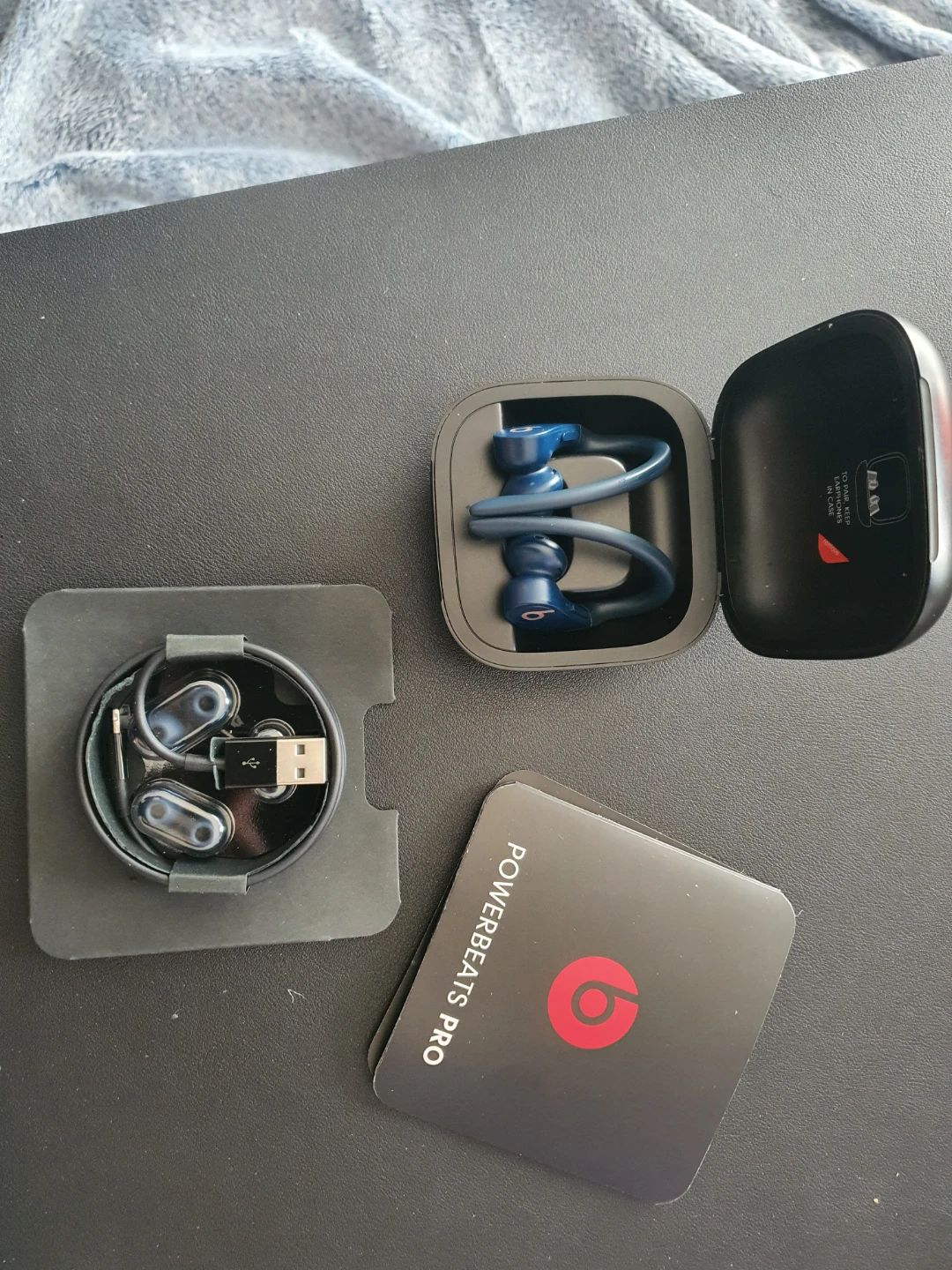 Beats Powerbeats Pro Wireless Earbuds (blue) - photo 3