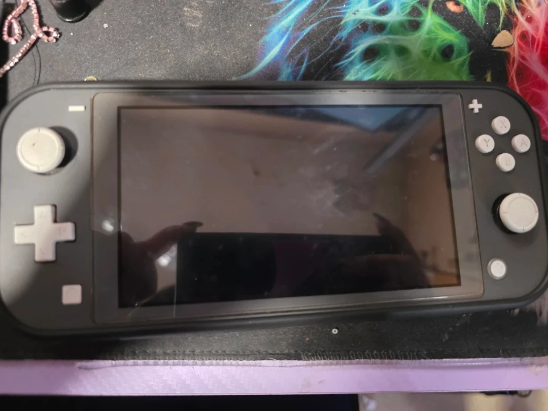 Nintendo Lite