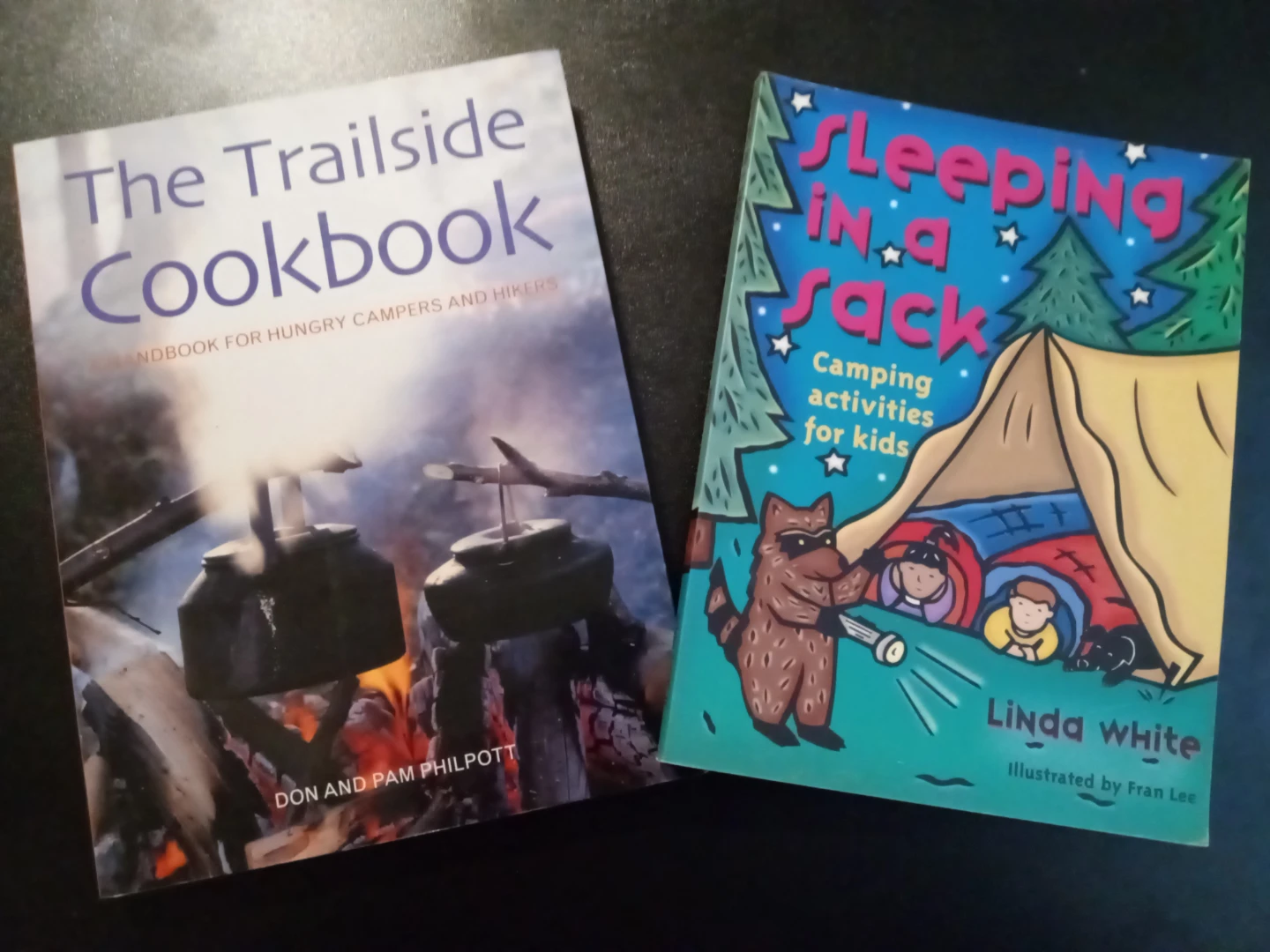 Going camping lot - books for adults and kids