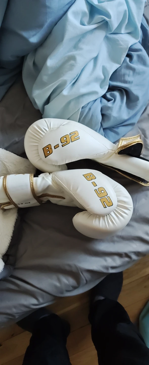 Hawk B-92 14 oz Boxing Gloves