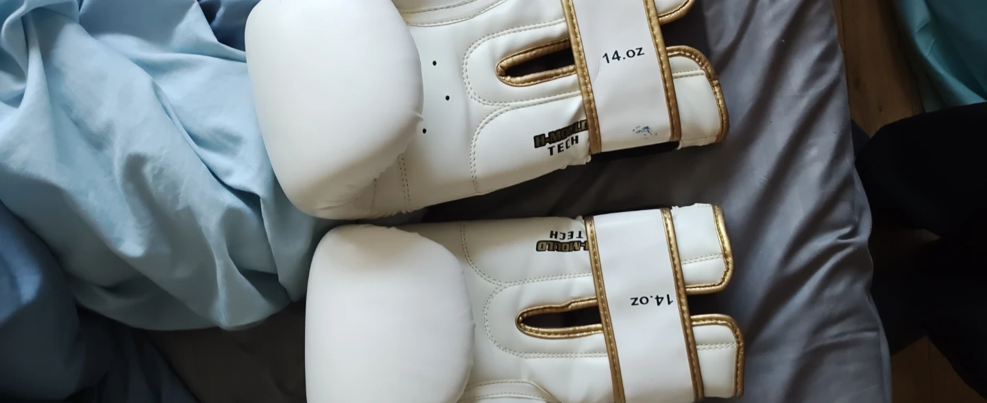Hawk B-92 14 oz Boxing Gloves - photo 3
